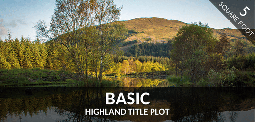 Marketing Small First